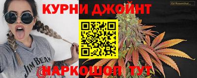 шишки Жуковский