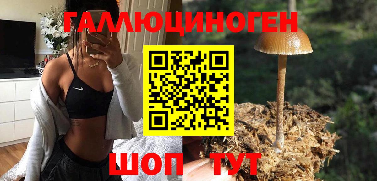 как найти   Вход с VPN  Луга  Галлюциногенные грибы Psilocybe 